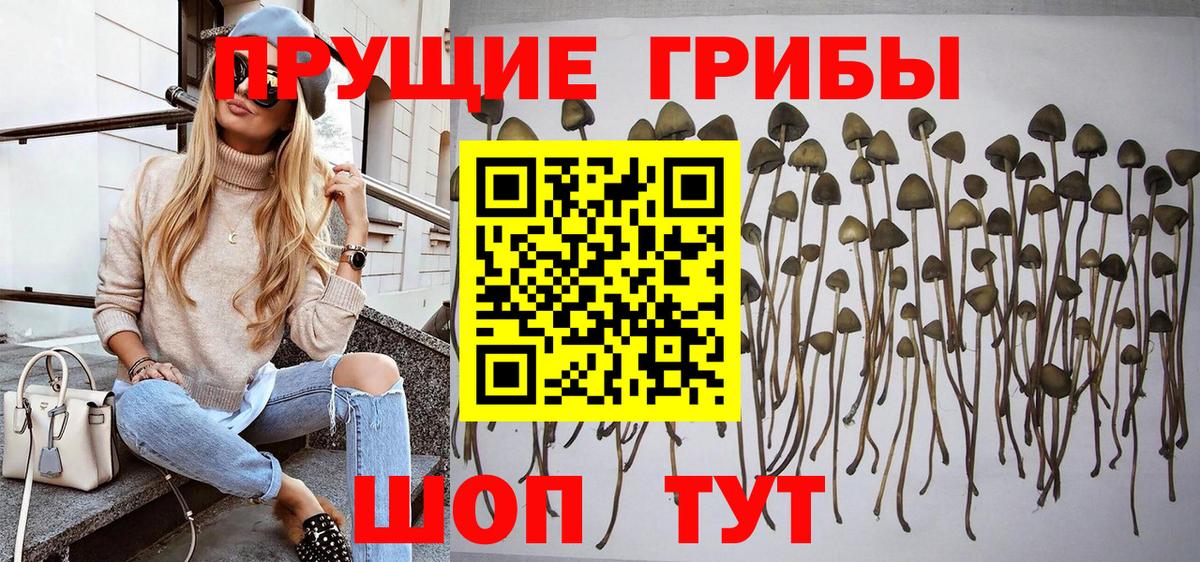 Галлюциногенные грибы мухоморы  Вход с VPN  Курган 